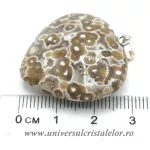 Pandantiv jasp oceanic